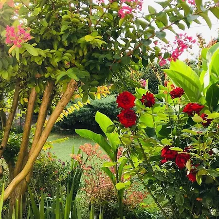 Au Boom Coeur - Forfait Inclus Hébergement de vacances *