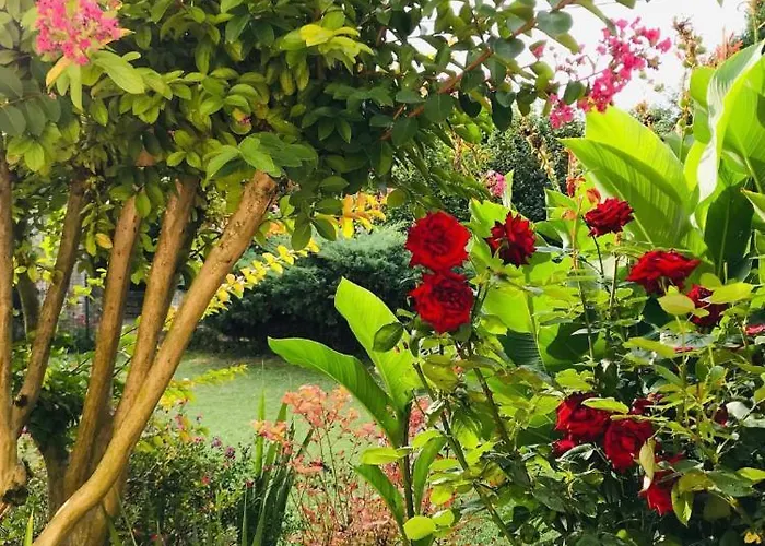 Au Boom Coeur - Forfait Inclus Дом отдыха *